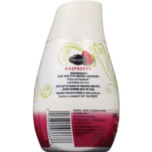Renuzit Adjustable Air Freshner Raspberry