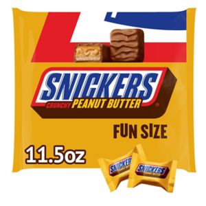 Snickers Peanut Butter Fun Size Snack