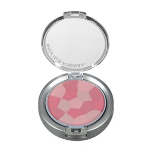 Physician's Formula Multi-Colored Blush Blushing Berry