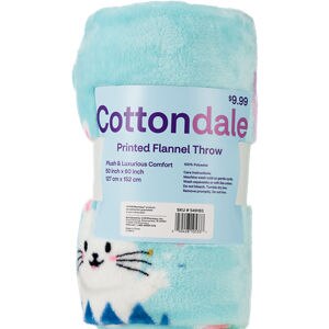 CVS Absorbent Body Powder Original Scent