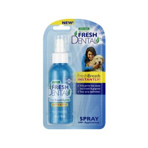 Naturel Promise Fresh Dental Fresh Breath Spray
