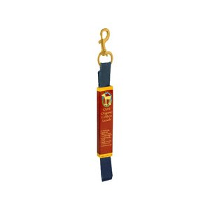 Ruffin'it 100% Organic Cotton Leash Blue Gray
