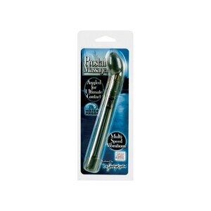 California Exotic Novelties Prostate Multi-Speed Massager, SIlver