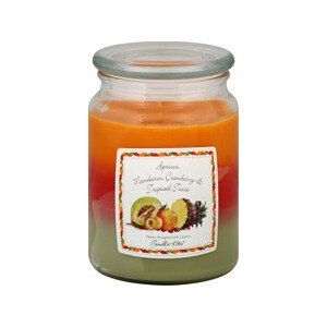 Candle-Lite Apricot, Mandarin Cranberry & Tropical Twist Candle