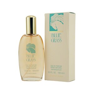 Blue Grass by Elizabeth Arden Eau De Parfum Spray 3.3 OZ