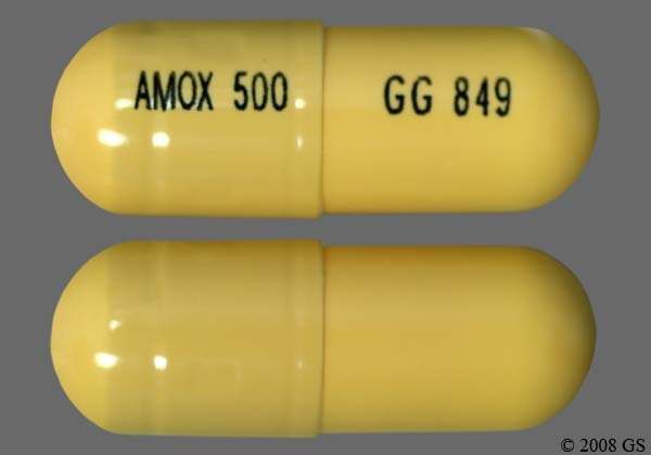 amoxicillin 500 1a pharma