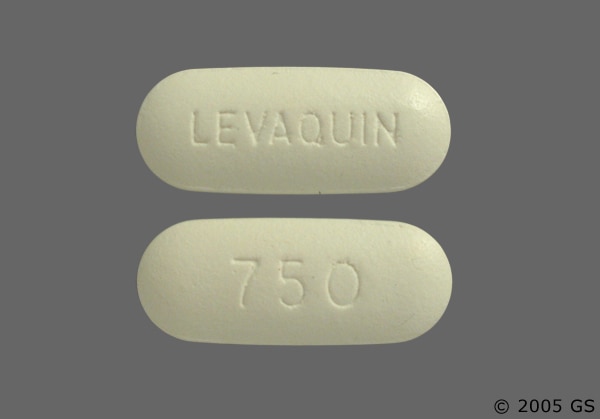 levaquin leva-pak price