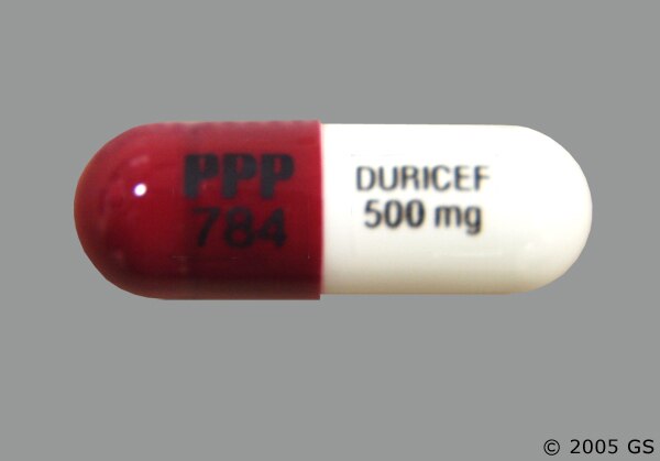 cefadroxil 500mg usos