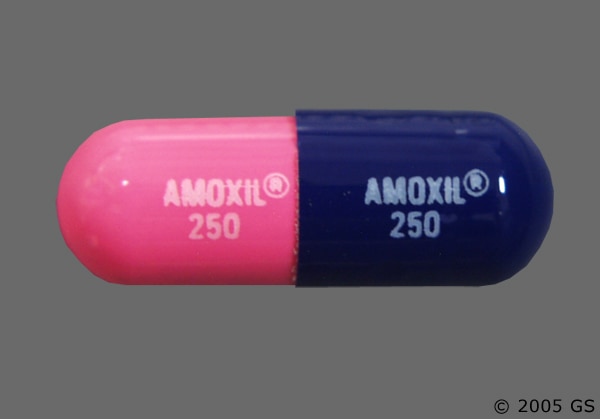 amoxicillin 500mg std