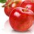 Apple Fruit Extract