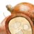 Babassu Seed Oil