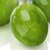 Olive Oil