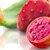 Prickly Pear Cactus Leaf Extract