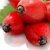 Rosehip Oil
