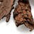 Tepezcohuite (Mimosa Bark Extract)