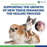Healers Wound Cleanser for Pets, 4 oz, thumbnail image