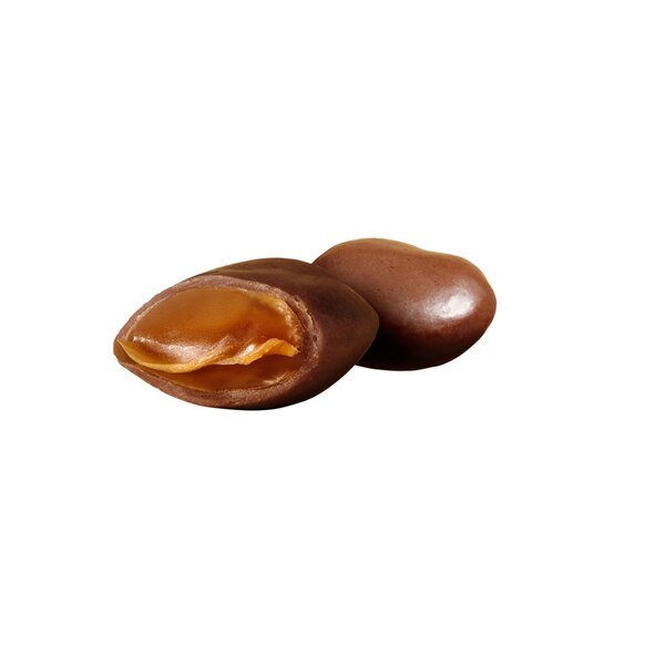 Hershey's Milk Duds Chocolate Covered Caramels, 5 oz