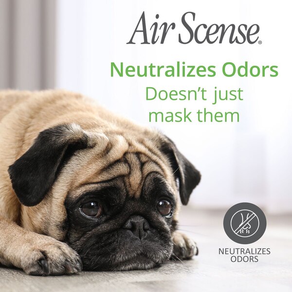 Air Scense Air Freshener, 7 oz