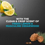 Dove Men+Care Clean Comfort Body and Face Wash, thumbnail image