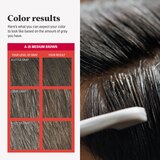 Just For Men Easy Comb-In Color Targeted Gray Coverage Hair Color, thumbnail image