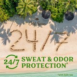 Old Spice 48-Hour Antiperspirant & Deodorant Stick, Fiji, thumbnail image