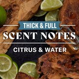 Old Spice 2-in-1 Thickening Shampoo & Conditioner , thumbnail image