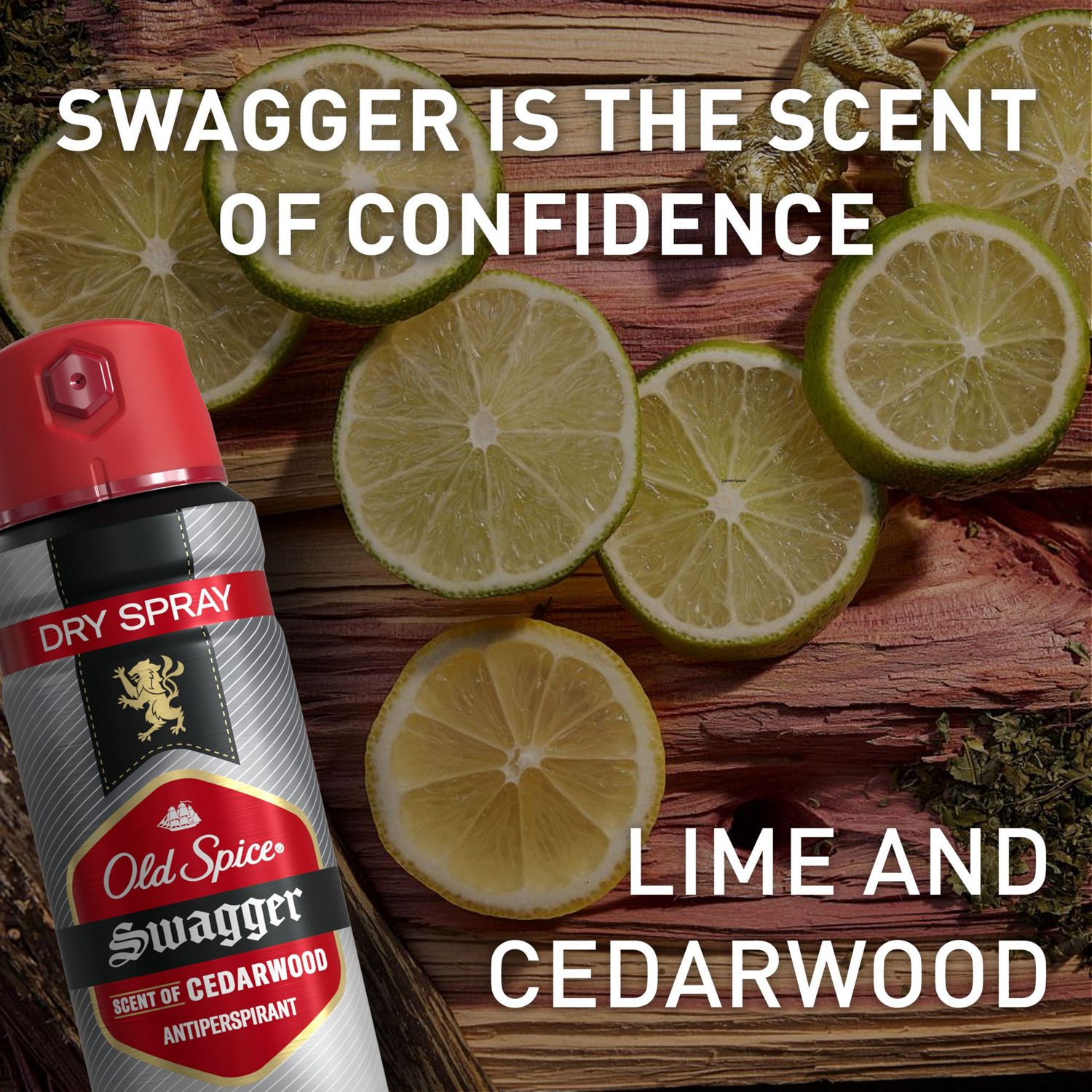 Old Spice Swagger 24-Hour Antiperspirant Dry Spray Old Spice Swagger 24-Hour Antiperspirant Dry Spray