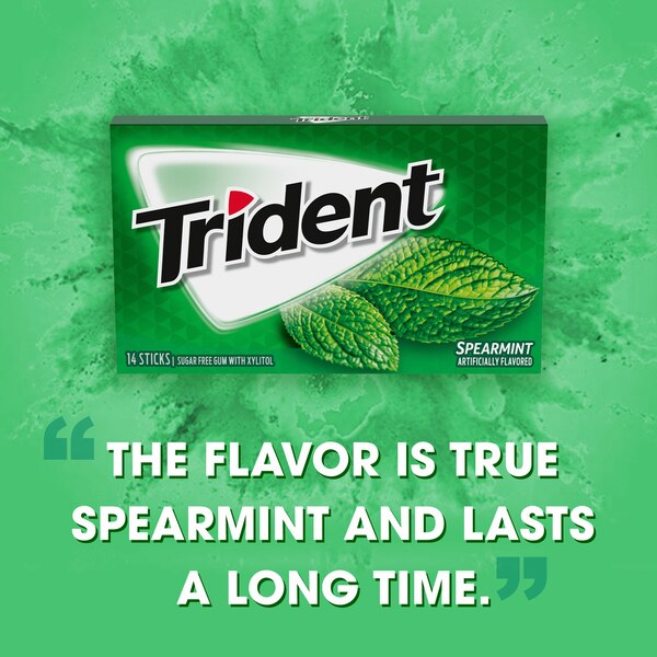 Trident Sugar Free Gum, Spearmint, 14 ct