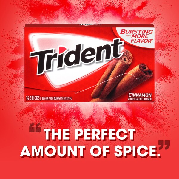 Trident Cinnamon Sugar Free Gum, 14 ct
