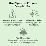 nbpure Digestive Enzyme Complex Capsules, 90 CT, thumbnail image
