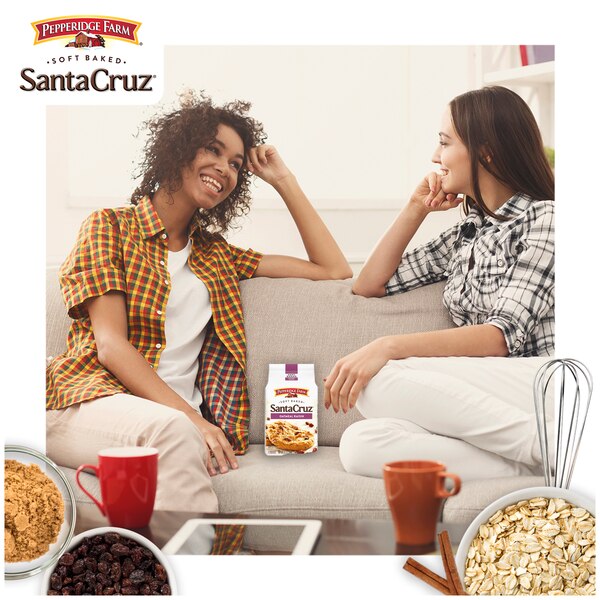 Pepperidge Farm Santa Cruz Soft Baked Oatmeal Raisin Cookies, 8.6 oz