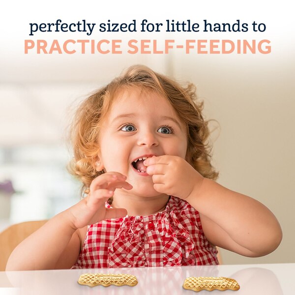Gerber Snacks for Baby Biscuits, Arrowroot, 5.5 OZ
