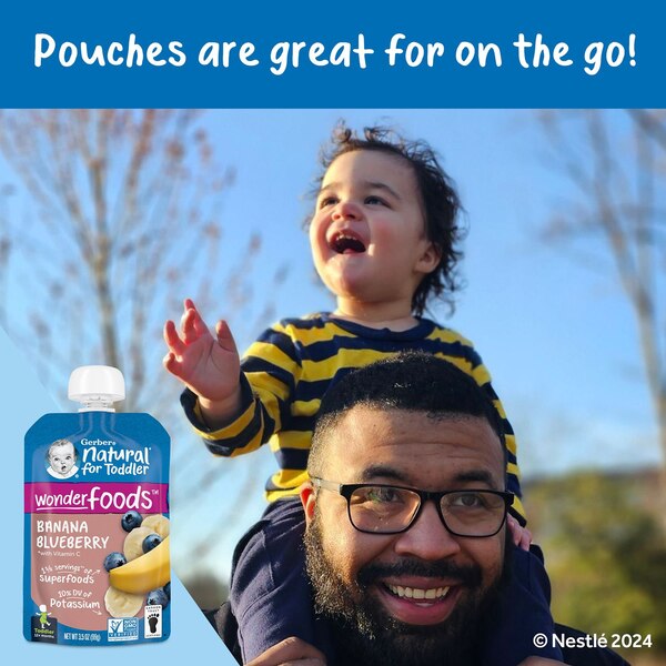 Gerber Natural for Toddler, WonderFoods Banana Blueberry Toddler Food, 3.5 OZ