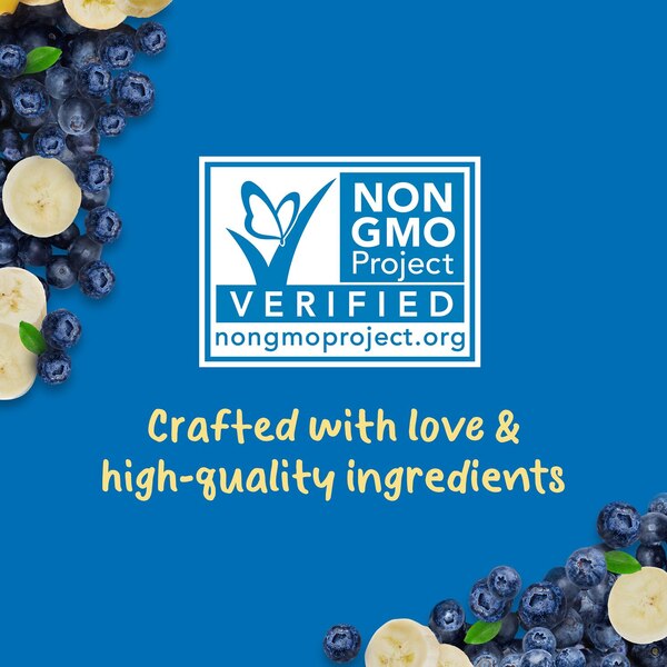 Gerber Natural for Toddler, WonderFoods Banana Blueberry Toddler Food, 3.5 OZ