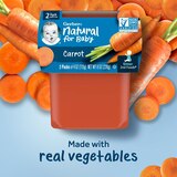 Gerber 2nd Foods Natural for Baby Baby Food, Carrots, 2 PK, 4 OZ, thumbnail image 3 of 10