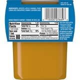 Gerber 2nd Foods Natural for Baby Baby Food, Apricot Mixed Fruit, 2 PK, 4 OZ, thumbnail image
