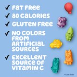 Bluey, Fruit Flavored Snacks, Treat Pouches, Gluten Free Snack, 10 Ct, 8 oz, thumbnail image