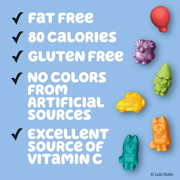 Bluey, Fruit Flavored Snacks, Treat Pouches, Gluten Free Snack, 10 Ct, 8 oz