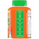 Flintstones Plus Immunity Support Children's Multivitamin Supplement Gummies, 150CT, thumbnail image