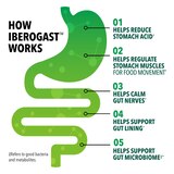 Iberogast Dual Action Digestive Relief Supplements, 20 ML, thumbnail image