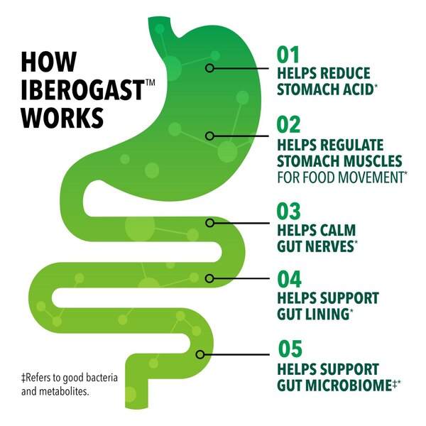 Iberogast Dual Action Digestive Relief Supplements, 20 ML
