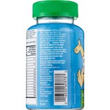 Flintstones Sugar Free Multivitamin Gummies, 60 CT, thumbnail image