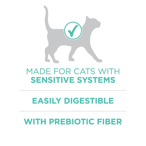 Purina ONE +Plus Sensitive Skin and Stomach Adult Cat Food, 3.5 lb