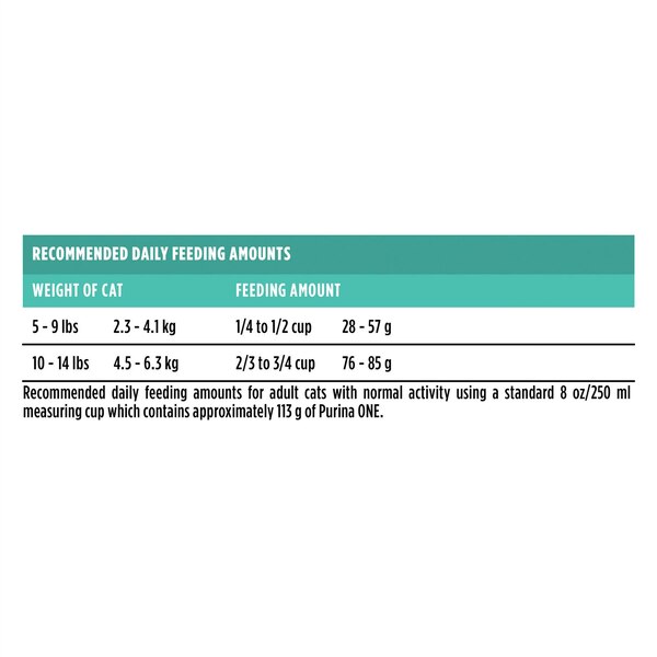 Purina ONE +Plus Sensitive Skin and Stomach Adult Cat Food, 3.5 lb