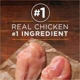 Purina ONE Smart Blend Natural Wet Dog Food, Chicken & Brown Rice, 13 oz, thumbnail image 3 of 3