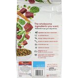 Beneful Originals Dog Food, Real Beef, 3.5 lb, thumbnail image