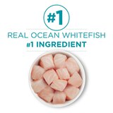 Purina ONE Natural, High Protein, Grain-Free Pate, Ocean Whitefish, 3oz, thumbnail image