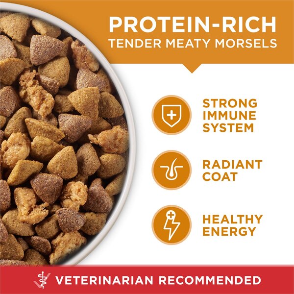 Purina ONE Chicken & Rice Formula Adult Dog Food, 16.5 lb