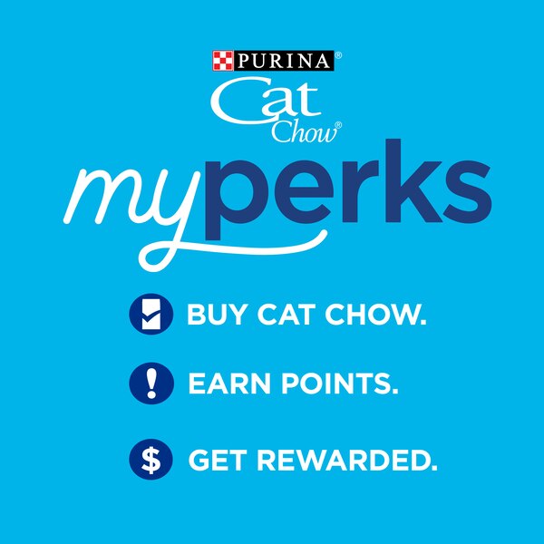 Purina Cat Chow Complete Dry Cat Food, 3.15 lb