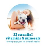 Purina Beneful IncrediBites with Real Chicken, Tomatoes, Carrots, & Wild Rice, 3 oz, thumbnail image